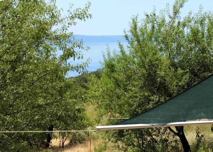 Family Friendly House With A Swimming Pool Kotisina, - 6809 * Makarska